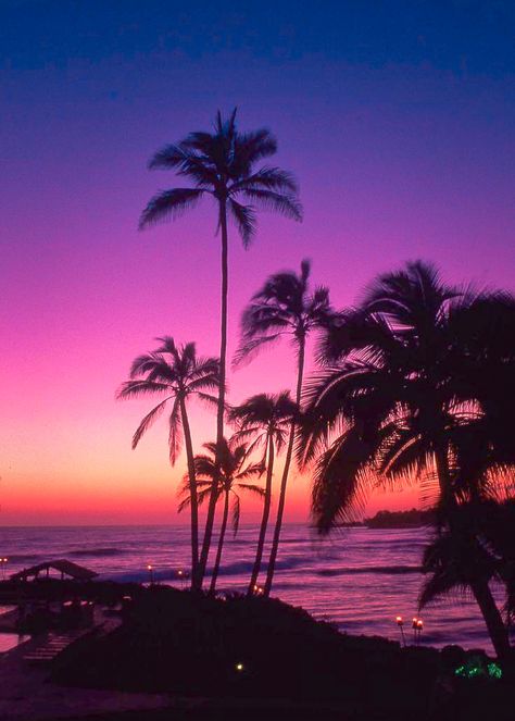 coiour-my-world: “Kauai sunset, Hawaii ” Tropical Pictures, Natural Pic, Sunsets Hawaii, Palm Trees Wallpaper, Purple Sunset, The Setting Sun, Broken Hearts, Fotografi Alam Semula Jadi, Beach Wallpaper