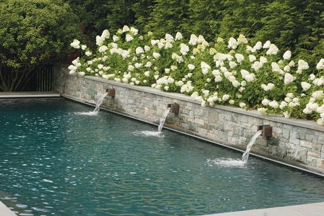 Pool With Wall Feature, Raised Wall Pool, Cottage Garden With Pool, Pool With Cascade Wall, Pool Next To Wall, Transitional Backyard With Pool, Pools With Retaining Wall, Water Features Pool, Pool With Hydrangeas