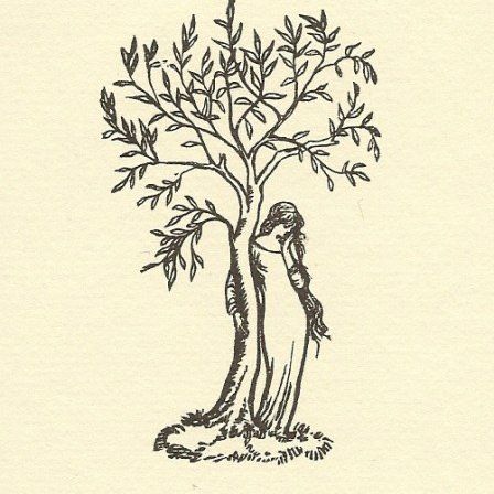 tattoos for patchwork Juniper Tree, Muster Tattoos, Fairy Tattoo, Dainty Tattoos, Arte Inspo, Tree Tattoo, Simplistic Tattoos, Drawing Tutorials, Art Tutorial