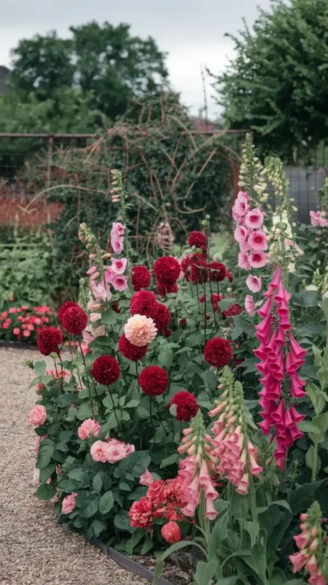 A photo of a garden with a "Berry Delight" scheme. There are deep red and pink flowers of various types, including dahlias, garden roses, hollyhocks, penstemon, cardinal flowers, gaura, columbine, and foxgloves. The flowers are planted in groups of 3 or 5 and are layered according to their height. There are also some thorny bushes in the background. The garden has a gravel path and is surrounded by a fence. The sky is overcast. Flower Beds Aesthetic, Dahlia And Peony Garden, 4 Season Flower Garden, Backyard Landscaping Wildflowers, Layered Flower Garden, Picking Flower Garden, Zone 3 Flowers, Colorful Flower Garden Ideas, Cut Garden Bouquet