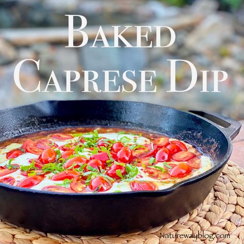 A Delectable Cheesy Oven Baked Caprese Dip – Nature Way Fresh Mozzarella Appetizers, Tomato Marinade, Caprese Dip, Baked Caprese, Mozzarella Appetizers, Caprese Appetizer, Savory Dips, Baked Dips, Tomato Caprese