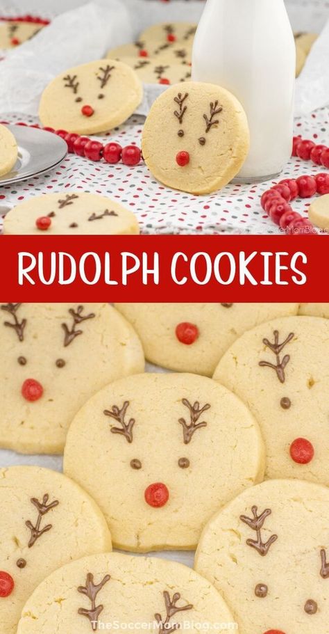 These festive reindeer cookies start with a classic sugar cookie base and are decorated with melted chocolate to create a sweet little reindeer face. Whip up this easy recipe with common kitchen ingredients in only ten minutes! Try this festive decorated Christmas cookie today! Rudolph Sugar Cookies, Reindeer Christmas Cookies, Reindeer Sugar Cookies, Homemade Sugar Cookie Dough, Rudolph Cookies, Christmas Cookies Kids, Christmas Bakes, Cookies Kids, Christmas Cookie Recipes Holiday