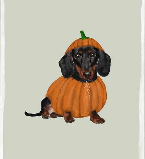 Another little Pupkin friend 🍂 . . . . . . #sausagedog #petportraits #petportraitartist #artistsoninstagram #dachshund #dachsundsofinstagram #dachshundpuppy #autumnillustration #autumnvibes #petsofinstagram #dogsofinstagram #dogillustration #dogportrait #art Arte Dachshund, Dachshund Painting, Dog Illustrations, Ig Highlights, Dachshund Art, Pets Drawing, Pet Portrait Painting, Autumn Illustration, Miniature Dachshund