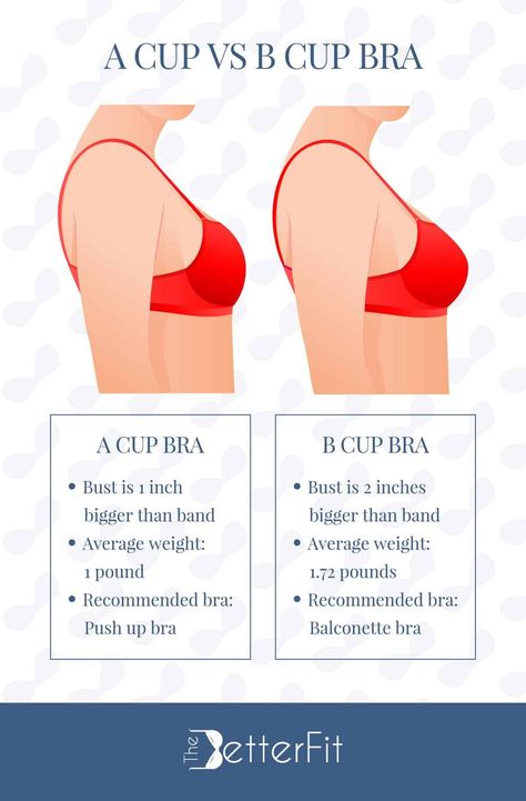 Bra Cup Size Comparison, B Cup Bra, D Bra Cup, Bra For Small Cup, 36dd Cup Outfits, Bra Size Chart Cups, 32b Cup Size, B Cup Size Examples, 32b Bra Size