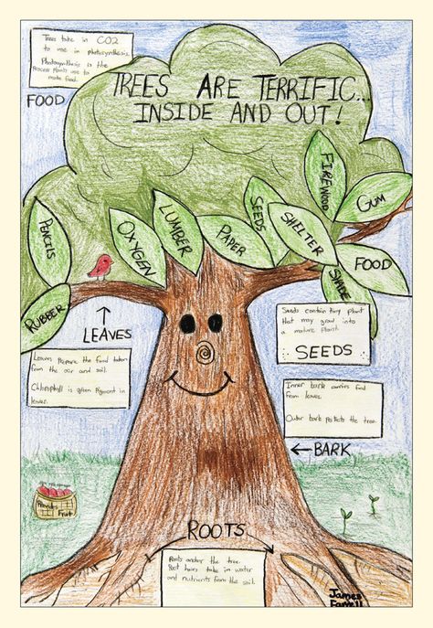 2008 Winning Arbor Day Poster by James Farrell - NYS Dept. of Environmental Conservation Arbor Day Poster, Ideas Of Things To Draw, Save Water Poster Drawing, Importance Of Trees, Earth Day Posters, Earth Poster, Tree Day, Tree Project, Day Earth