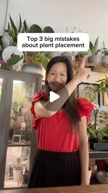 Clara’s Green House on Instagram: "Let me share with you - top 3 big mistakes about plant placement. 🌿🌱😘💚🤟🏻👩🏻‍🌾

#fengshui #fengshuilifestyle #plant #plants #luck" House Plant Placement, Plant Placement In Home, Plants Home Office, Plant Placement, Plant Care Houseplant, Plants Home, Money Tree, Big Plants, Money Trees