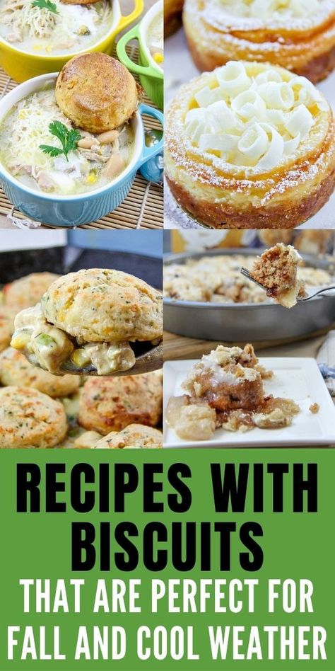 These delicious recipes all use frozen biscuits and are perfect for fall. Biscuit Topping Ideas, Recipes Using Frozen Biscuits, Pillsbury Frozen Biscuit Recipes, Frozen Biscuits Ideas, Frozen Biscuit Recipes, Canned Biscuit Recipes Dinner, Biscuit Recipe Ideas, Recipes Using Canned Biscuits, Biscuit Meals