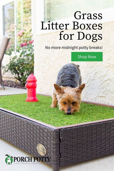 Sleep in late this weekend! Your dog can let themselves out with the Porch Potty grass litter box. These grass litter boxes are designed to be a safe place for your pets to go potty without the odor or inconvenience of taking them for a walk every time they need to go out. These are perfect for the backyard, apartment balcony garden or patio. It's the best dog supplies as outdoor furniture in your landscaping. #dog Dog Potty Diy, Backyard Apartment, Porch Potty, Dog Potty Area, Indoor Dog Potty, Dog Litter Box, Dog Potty Training, Dog Potty, Indoor Dog