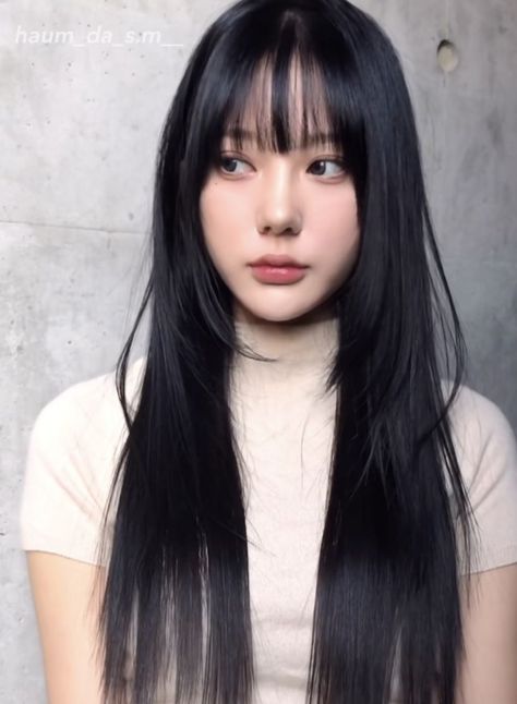 Hime Haircut Bangs, Long Black Hair With Bangs Korean, Himecut Long Hair, Hime Cut Straight Hair, Hime Haircut Without Bangs, Hime Cut With Wispy Bangs, Hime Cut Black Woman, Japanese Bangstyle Hair, Hime Layer Hairstyle