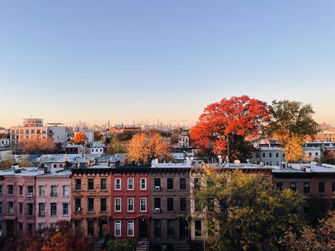 Bed Stuy Brooklyn, Bed Stuy, Manhattan Skyline, Beautiful World, Manhattan, Brooklyn, New York, Bed