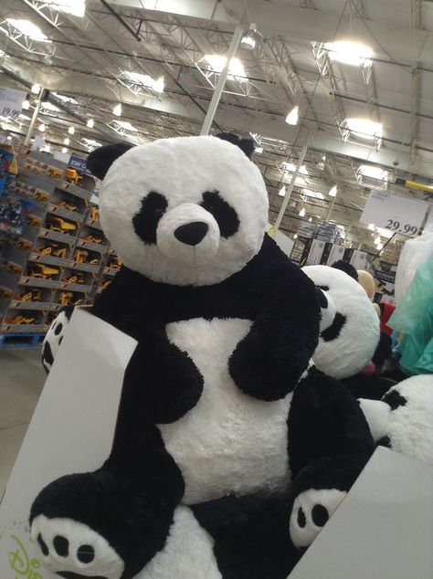 Life size panda bear... someone needs to get me one of these. I WANT IT> Panda Teddy, Panda Teddy Bear, Big Panda, Giant Stuffed Animals, Big Teddy Bear, Big Teddy, Giant Teddy Bear, Giant Teddy, Monkey Stuffed Animal