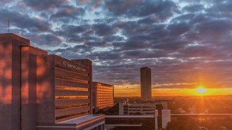 From a post office to a hair salon and a napping area, MD Anderson offers many services for our patients. Click through to learn more about MD Anderson amenities. #endcancer Md Anderson, Blood Donor, Integrative Medicine, Information Center, Ins And Outs, Post Office, Hair Salon, Skyscraper, The Good Place