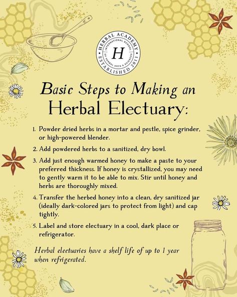 Medicinal Herbs Remedies, Natural Medicine Cabinet, Herbal Education, Medicinal Herbs Garden, Holistic Recipes, Magia Das Ervas, Medical Herbs, Healing Tea, Herbal Teas Recipes