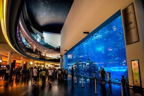 3 Things to do in Dubai & Abu Dhabi on a layover - The Young Travelier #luxuryhotel #relaxation #travelpic #travelgram #luxurytravel #luxuryhotels #hotelier #travelphotography Dubai Mall Aquarium, Fantasyland Hotel, Dubai Travel Guide, Weekend In London, Emirates Airline, Dubai World, Mall Of America, Best Family Vacations, Visit Dubai