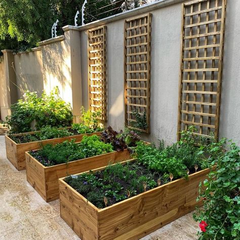 Skip the grocery store and grow produce with these clever vegetable #garden ideas for yards of all sizes. Vegetable Garden Narrow Space, Small Garden With Vegetable Patch, Raised Vege Garden Ideas, Small Courtyard Veggie Garden, Outdoor Garden Area Ideas, Corner Vegetable Garden Ideas, Simple Small Vegetable Garden Design, Veggie Gardens For Small Spaces, Garden Box Design Layout