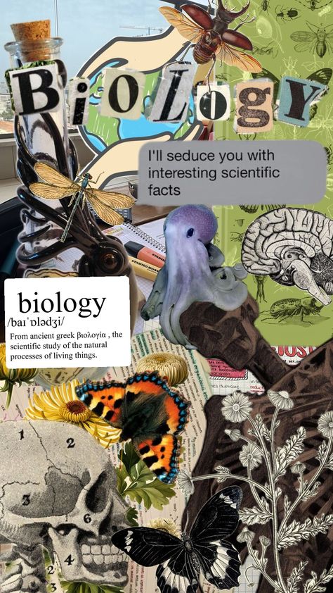 #biology #major #school #subject #teacher #studying #student #science #butterfly #moth #skeleton #skeletons #fyppppppppppppppppppppppppppppppppppppppppppppppppppppppppp #fypshuffle #aestehtic #pretty #definitions Aesthetic Biology Pictures, Pretty Definitions, Biology Major Aesthetic, Moth Skeleton, Biology Pictures, Aesthetic Biology, Bio Inspiration, Biology Major, Biology Art