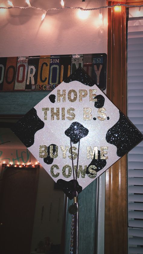 Grad Cap Ideas Agriculture, Cute Cap For Graduation, Graduation Cap Designs Cow Print, Graduation Cap Cow Designs, Cow Ideas Decor, Graduation Cap Designs Morgan Wallen, Cody Johnson Graduation Cap, Cow Themed Graduation Cap, Country Song Graduation Cap