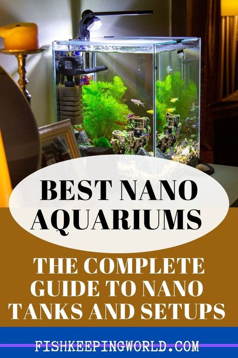 If you are not ready for the commitment of a standard home aquarium because of the size and maintenance that goes along with it, Fishkeeping World recommends a Nano aquarium. These aquariums are typically less than 10 gallons and can fit in smaller home spaces or your office. Check out our review of 5 Nano fish tanks to find the one that you want. Also included are some maintenance tips for these tanks that are distinct from their larger counterparts. Get the list… #nano #aquariums #nanotanks Planted Nano Tank, Nano Fish Tank, Freshwater Aquascape, Nano Reef Tank, Miniature Aquarium, Small Fish Tanks, Fish Ideas, Fish Keeping, Nano Aquarium