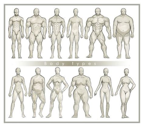 Reference Things, Body Type Drawing, Drawing Anatomy, Body Study, Human Anatomy Drawing, Human Anatomy Art, 남자 몸, Body Reference Drawing, Anatomy Drawing