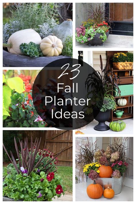 Be inspired by this large list of outdoor planters for your front porch this fall that will last from now until Christmas. Lanterns In Planters Front Doors, Large Planters Outdoor Ideas Fall, Fall Flower Planters Front Porches, Fall Flowers Garden Pots, Best Plants For Fall Planters, Mums On Porch For Fall, Fall Front Door Planters, Autumn Planters Outdoor, Fall Porch Plants