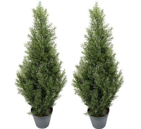 Cedar Topiary, Cedar Plant, Outdoor Topiary, Bushes And Shrubs, Fake Christmas Trees, Artificial Plants Decor, Indoor Tree, Topiary Plants, Artificial Topiary