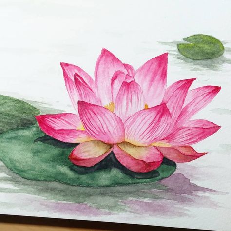 Since I started watercolour, I've been wanting to paint the lotus flower. It is such a simple beauty, but also complex with the veins… Lotus Flower Drawing, Lotus Drawing, The Lotus Flower, Watercolor Lotus, Lotus Flower Pictures, Watercolour Ideas, Lotus Painting, Saree Painting, Water Drawing