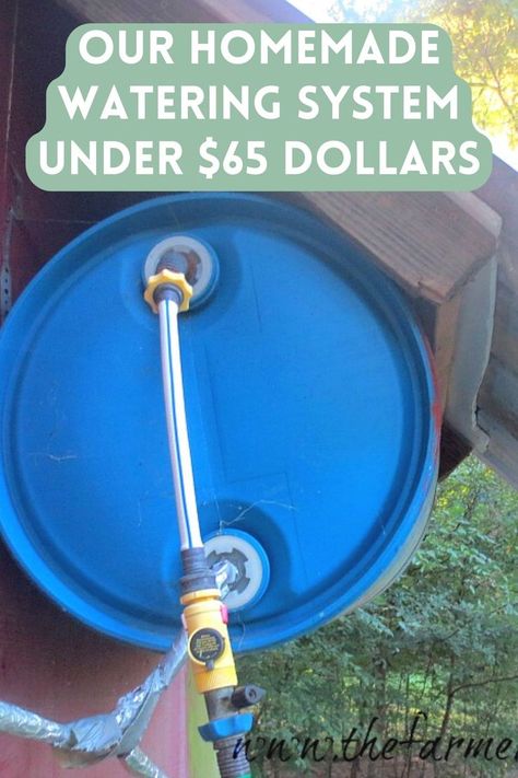 blue barrel used in watering system for chickens Watering System For Chickens, Waterer For Chickens, Homemade Chicken Waterer, Chicken Watering System, Chicken Waterer Diy, Automatic Waterer, Automatic Watering System, Chicken Waterer, Blog Title