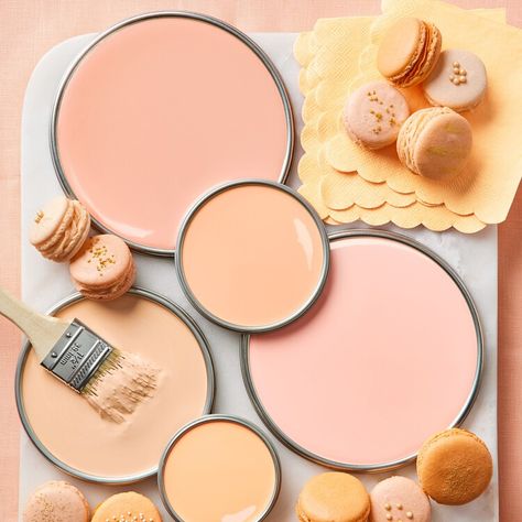 These Ultra-Versatile Blushy Peach Paint Colors Will Make Your Walls Glow — Better Homes & Gardens Pale Salmon Paint Color, Peach Paint Colors, June Colors, Peach Kitchen, Peach Paint, Peach Walls, 2024 Kitchen, Light Peach Color, Kitchen Wall Colors