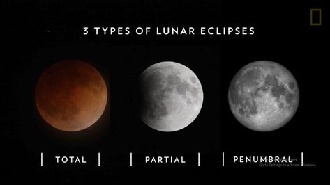 Full Moon In Libra, Total Eclipse, Lunar Eclipse, Full Moon, The 3, Celestial Bodies, Quick Saves