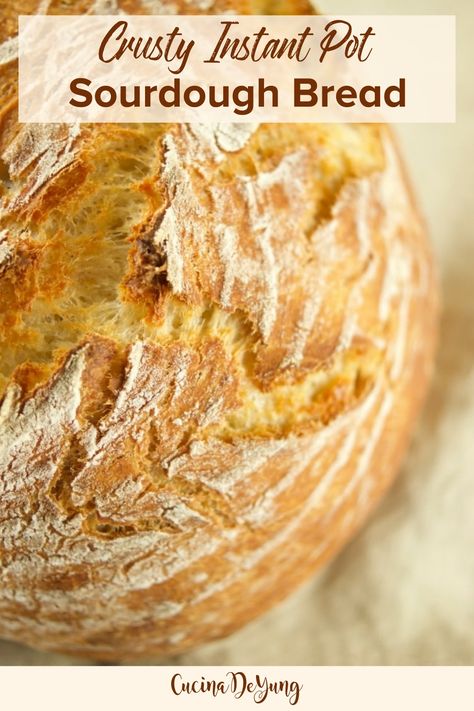 Instapot Sourdough Bread Recipe, Sourdough Instant Pot, 2 Ingredient Sourdough Bread, Homemade Bread Instant Pot, Crock Pot Sourdough Bread, Instant Sourdough Bread, Instapot Bread Recipe Easy, Instant Pot Bread Recipes Easy, Insta Pot Bread