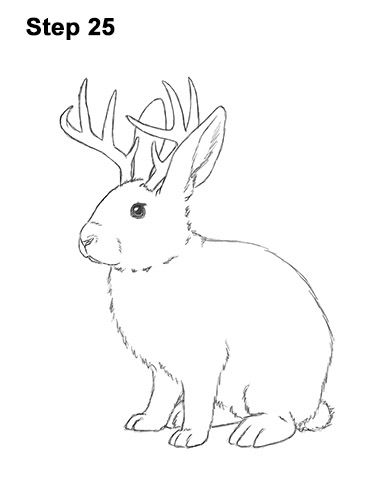 Draw a Jackalope 25 How To Draw Cryptids, Jackalope Sketch, Bunny With Antlers, Gemstone Cookies, Jackalope Drawing, Bunnies Drawing, Jackalope Art, Witchy Embroidery, Jackalope Tattoo