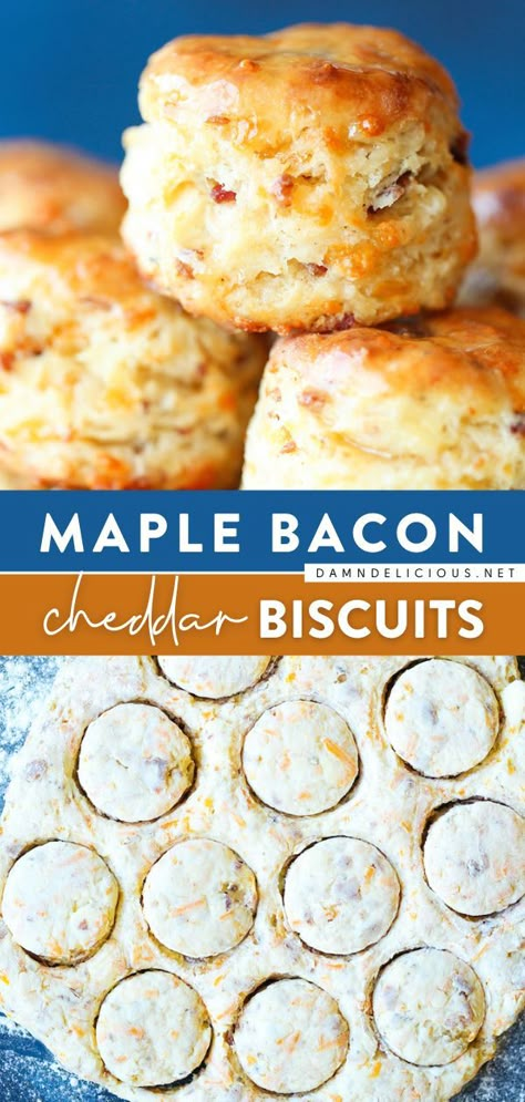 These tender, flaky cheddar cheese biscuits are sweet and savory! Loaded with bacon and maple syrup, they make the perfect appetizer. Serve warm with maple butter goodness! Save this easy bread recipe! Savory Breakfast Bread Recipes, Breakfast Bread Recipes Easy, Warm Cheddar Cheese Biscuits, Easy Savory Baking, Sweet Cheese Recipes, Maple Syrup Appetizers, Easy Savory Bread Recipes, Breakfast Recipes Biscuits, Sweet And Savory Dinner Recipes