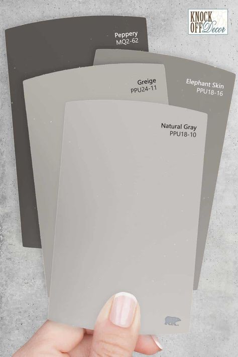 behr-multi-Natural-gray-chips Gladiator Gray Behr, Natural Gray Paint Behr, Toasty Gray Behr Color Palettes, Behr Gratifying Gray, Hailstorm Gray Behr, Behr Peppery Paint, Flannel Gray Behr Paint, Chic Grey Behr Paint, Doeskin Gray Behr