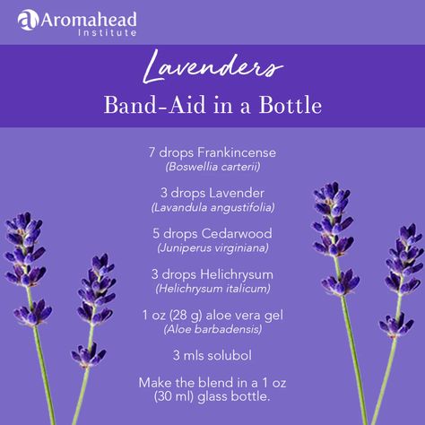 Band-Aid in a Bottle (Essential Oils for Healing) | Aromahead Blog Essential Oils For After Surgery, Essential Oils For Healing After Surgery, Essential Oils For Wound Healing, Essential Oils For Bruising, Essential Oils For Healing, Oils For Healing, Are Essential Oils Safe, Aromatherapy Essential Oils, Healing Essential Oils