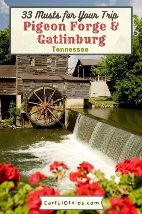 What To Do In Tennessee, Ober Gatlinburg Tennessee, Things To Do In Gatlinburg Tennessee, Gaitlandburg Tennessee, Gatlinburg Tennessee Things To Do In, Dollywood Trip, Dollywood Tennessee, Gatlinburg Honeymoon, Tennessee Family Vacation