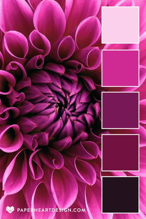 MAGENTA DAHLIA Loving this intense almost monochromatic look   HEX CODES: #23111d #731140 #781857 #cf2a93 #fbd0ec Magenta Pink Color Palette, Current Color Trends 2023, Colors That Go With Magenta, Fusia Pink Color Palette, Seductive Color Palette, Fuschia Palette, Valentine’s Day Color Palette, Pink Black Color Palette, Fuschia Color Palette