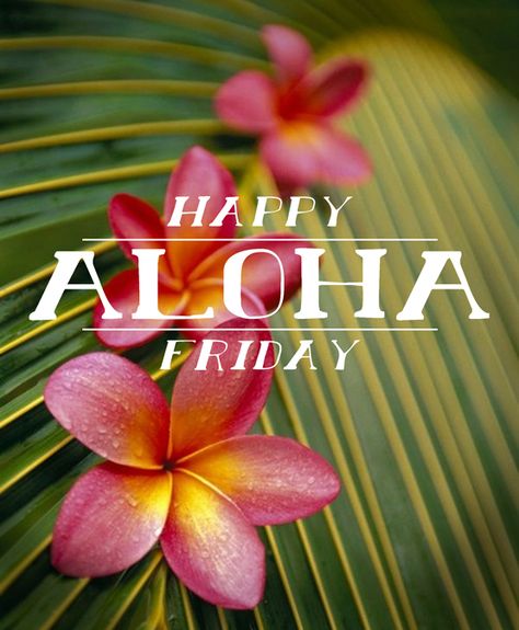 happy aloha friday Hawaii Quotes, Hawaiian Quotes, Happy Aloha Friday, I Need Vitamin Sea, Travel Smart, Aloha Friday, Weekend Quotes, Aloha Spirit, Hawaiian Culture