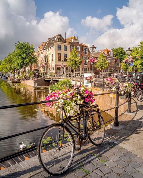 Netherlands on Instagram: “Typical Dutch sight! 🌺🍃 Stunning photo, by @martijnvandernat.nl  Follow us and use the hashtag  #bestofnetherlands  Selected by @debyanna…” Leiden Netherlands, Get Paid To Travel, Paid To Travel, Anchorage Alaska, Europe Photos, Netherlands Travel, Beautiful Cities, Savannah Georgia, Beautiful City