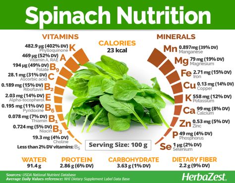 Spinach | HerbaZest Spinach Benefits, Low Carb High Protein, Nutrition Chart, Food Health Benefits, Fruit Benefits, Fruit Salad Recipes, Nutrition Guide, Nutrition Education, Spinach Salad