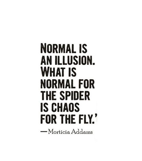 Positive Disintegration, Normal Is An Illusion, Illusion Quotes, Normal Quotes, Door Quotes, What Is Normal, Morticia Addams, The Addams Family, The Spider