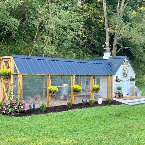 Cute Chicken Coops, Chicken Coop Garden, Chicken Coup, Backyard Chicken Coop Plans, Diy Chicken Coop Plans, Chicken Coop Run, Backyard Chicken Farming, Backyard Flocks, Chicken Coop Designs