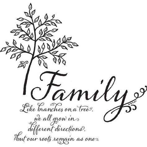 Whether you are an empty nester or just starting to build your flock, far from home or close to relatives, this decal keeps familial love close at hand. A delicate tree accents the heartfelt script quote. It contains 4 pieces on 2 sheets that measure 17.25 x 24 inches.Peel and stick, repositionableSafe for walls: always removable and leaves no sticky residueSticks to most smooth, flat surfacesContains 4 piecesComes on two 17.25-in x 24-in sheetsQuote reads Family - like branches on a tree, we al Family Tree Quotes, Wall Phrases, Tree Quotes, Santi Cattolici, Family Decals, Black Quotes, Quote Decals, Family Tree Wall, Far From Home