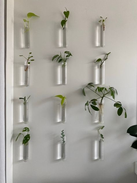 Hanging Test Tube Plants Diy, Test Tubes Plants, Hanging Test Tube Plants, Spice Jar Propagation, Plant Test Tube, Test Tube Propagation Wall Diy, Glass Tube Plant Wall, Diy Propagation Station Wall, Magnetic Propagation Station