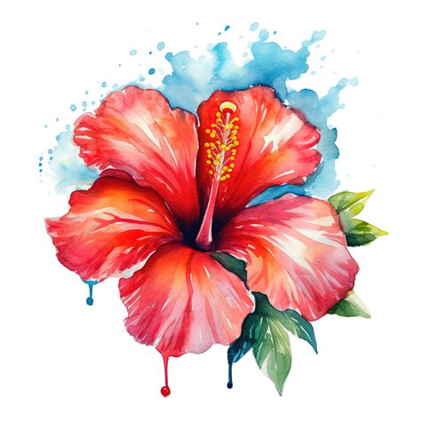 Hibiscus Flower Watercolor, Red Hibiscus Flower, Watercolor Border, Red Hibiscus, Nature Watercolor, Watercolor Clip Art, Art Aquarelle, Flower Watercolor, Wreath Watercolor