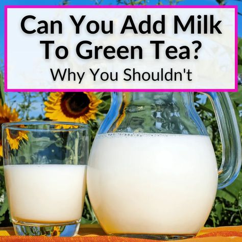 Adding milk to coffee and black tea is common. So can you add milk to green tea,too? Of course you can. But you probably shouldn't, for two big reasons. First... Green Tea Milk Tea Recipe, Green Tea With Creamer, Green Milk Tea Recipe, Green Tea With Milk, Green Milk Tea, Green Tea Milk, Milk Green Tea, Tea Guide, Avocado Leaves