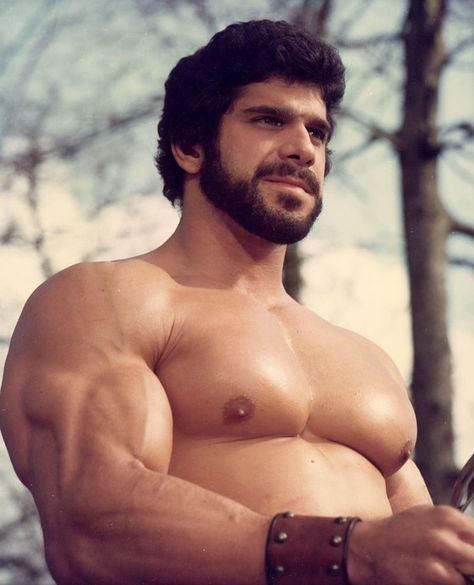 Noxus League Of Legends, Hulk Movie, Lou Ferrigno, Muscle Anatomy, Beefy Men, Muscular Men, Attractive Guys, Comic Book Heroes, Men Vintage