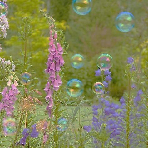 Bubbles And Flowers Aesthetic, Magical Garden Aesthetic, Txt Fairy Of Shampoo Aesthetic, Wonder Land Aesthetic, Bubblegrunge Aesthetic, Fairy Land Aesthetic, Fairy Of Shampoo Aesthetic, Fairyland Aesthetic, Fairy Magic Aesthetic