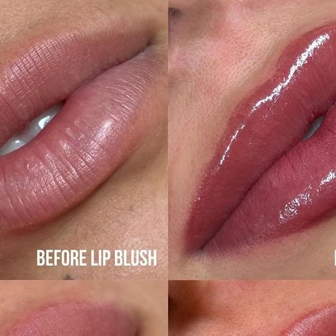 Sarina | OC Brow & Lip Blush Artist on Instagram: "The lip blush process from start to finish!  (minus the healing stages)   My clients main concern was wanting to build out her lip boarder since she felt she had lost her shape from having lip filler. Believe it or not lip blush and lip filler go hand-in-hand. The results you can get from having the two can be stunning!" Lip Blush Healing Process, Lip Blushing, Lip Blush, Lip Filler, Dark Lips, Lip Fillers, Healing Process, Artist On Instagram, Losing Her