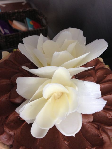 Chocolate Flower Petals, Tempered Chocolate Decorations, Tempered Chocolate, How To Temper Chocolate, Chocolate Work, Chocolate Garnishes, Chocolate Roses, Chocolate Flowers, Dessert Chocolate