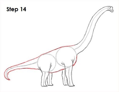 Brachiosaurus Dinosaur 14 Brontosaurus Drawing, Brachiosaurus Drawing, Easy Dinosaur Drawing, Dinosaur Reference, Dino Drawing, Long Neck Dinosaur, Animal Tutorial, Neck Drawing, Dinosaur Sketch